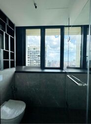 Irwell Hill Residences (D9), Apartment #480007211